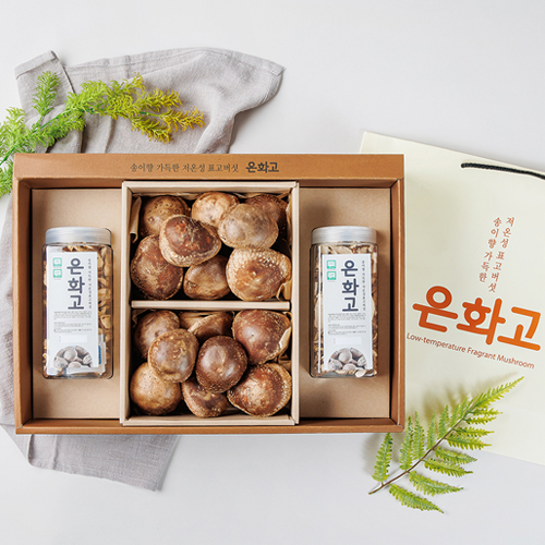 은화고 수확 모습